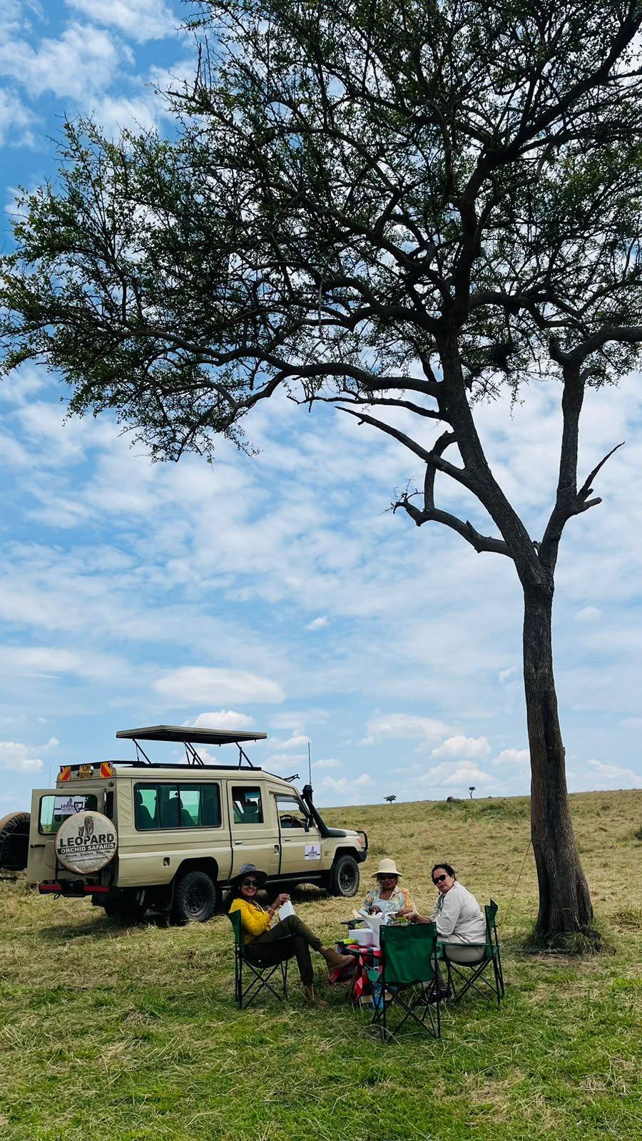 Guest photographing wildlife from the vehicle
