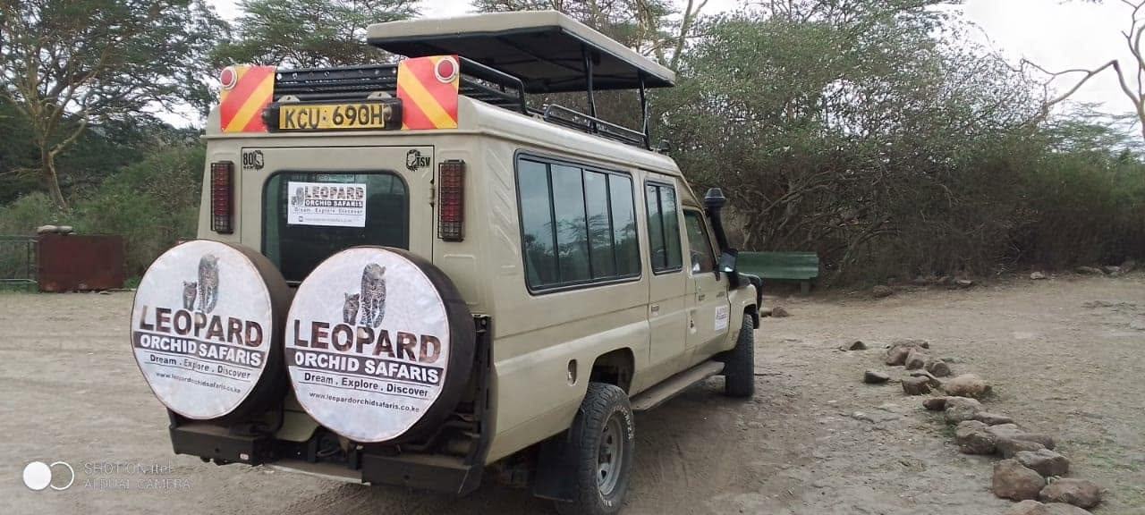 Our 4x4 Land Cruiser with pop-up roof on a game drive