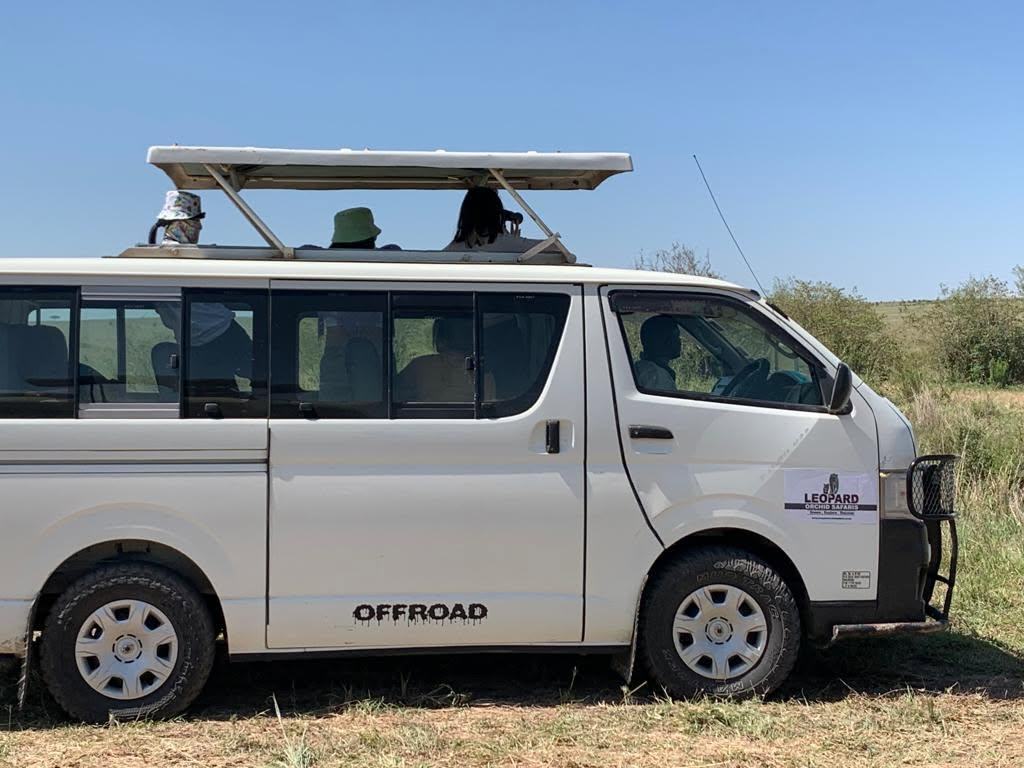 Two safari vans on a group departure