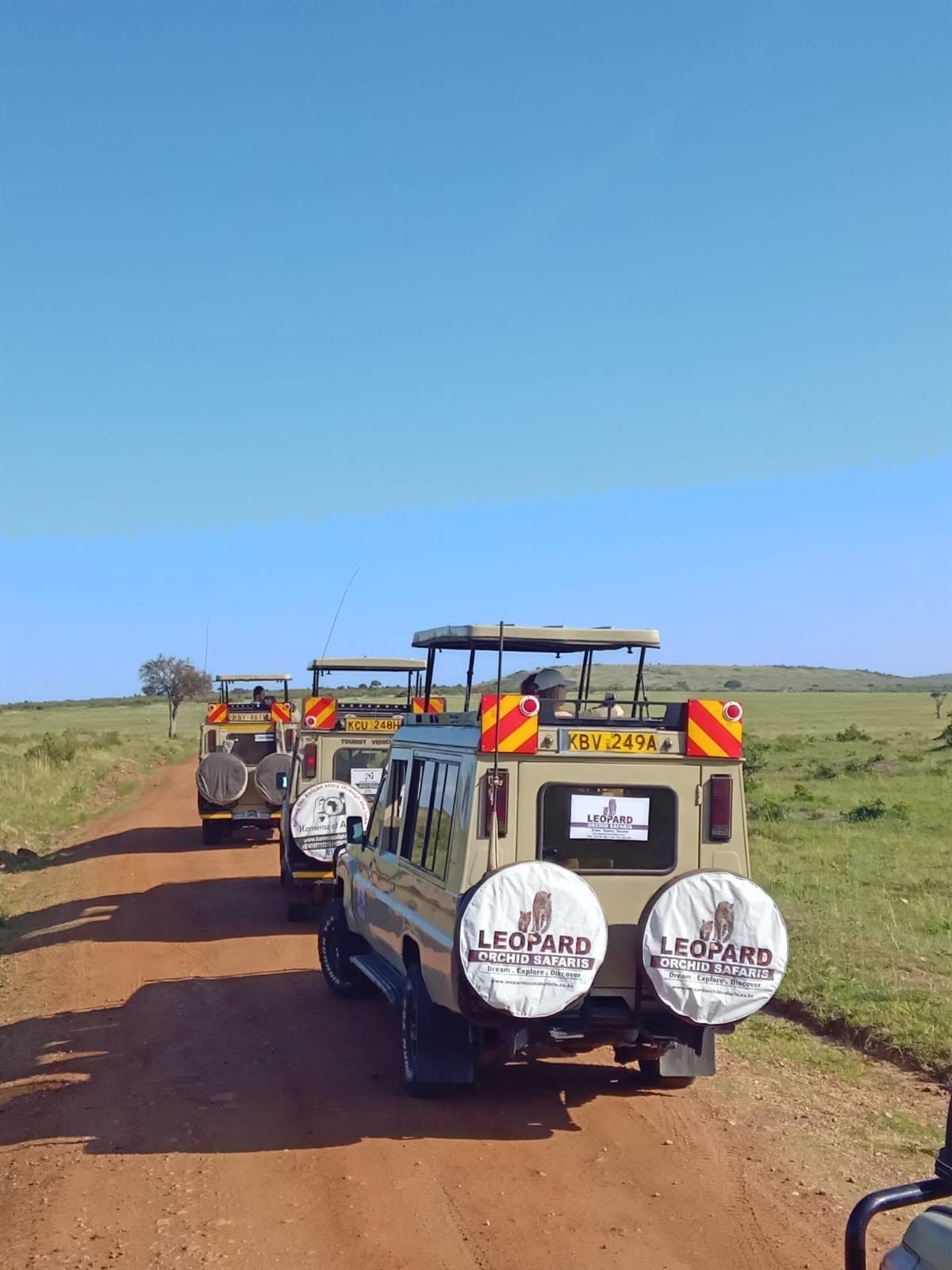 Safari vehicles parked in the wild during a sighting