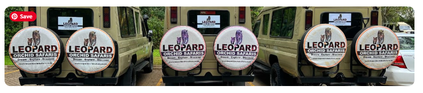 Leopard Orchid Safaris branded 4x4 Land Cruisers lined up with logo spare wheel covers
