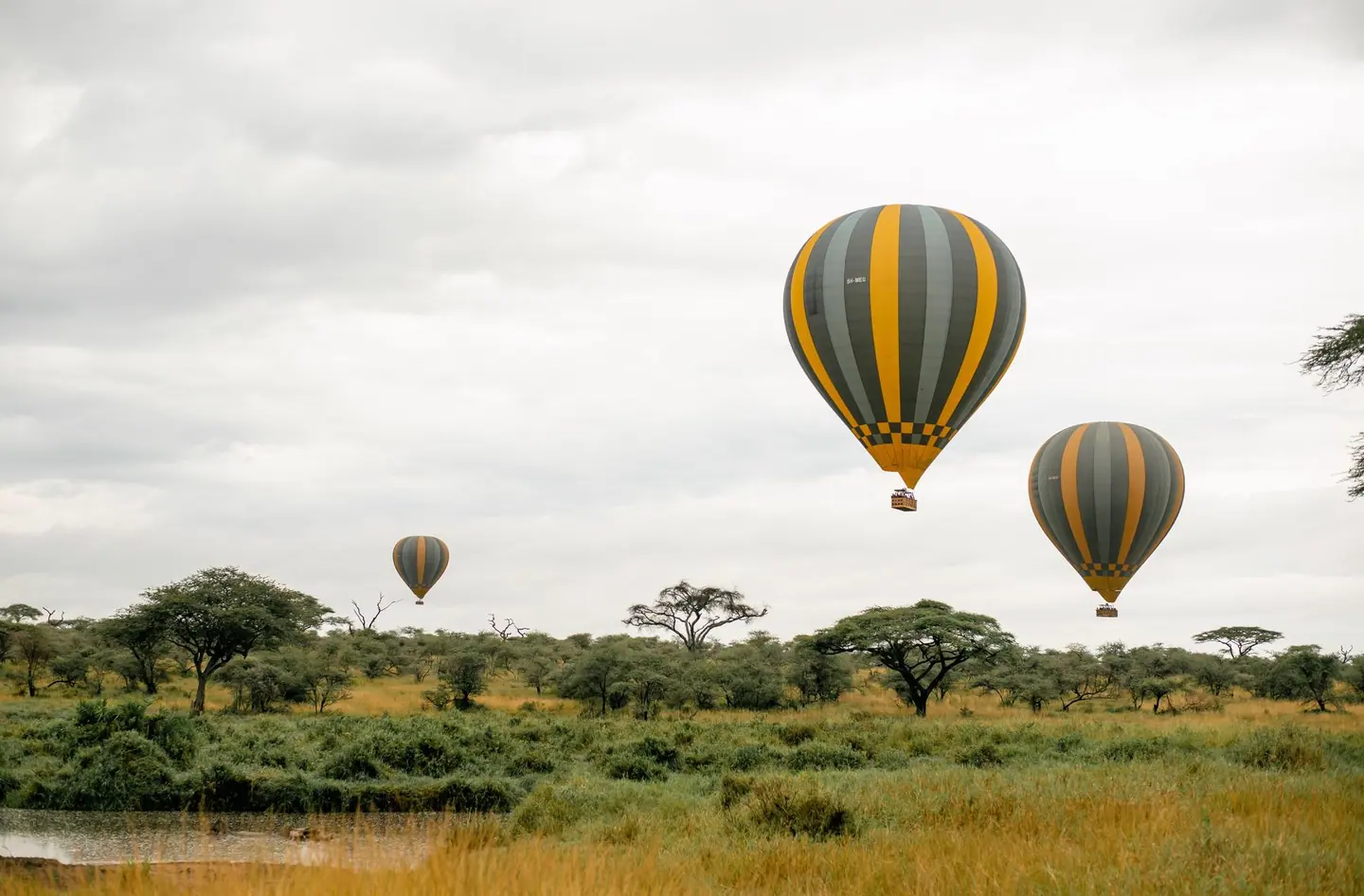 Maasai Mara balloon, sunrise balloon flight, Masai Mara, full-day game drive, 5-Day Kenya Safari, Masai Mara, Amboseli & Lake Naivasha