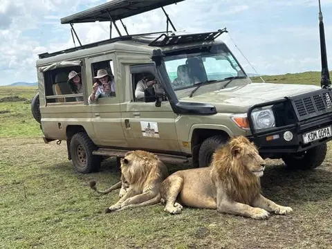 On safari, dawn game drive, Gorilla trek → Entebbe, 8-Day Uganda Primates & Murchison Falls