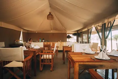 Serengeti, full day of game drives, Serengeti, 9-Day Serengeti & Zanzibar Fly-In