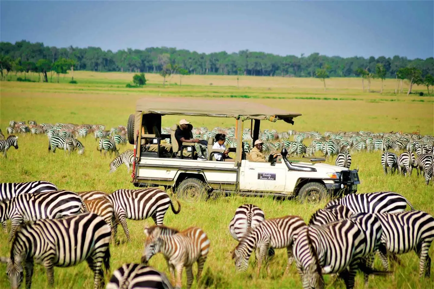 Maasai Mara, dawn game drive, Kasenyi & Kazinga, 12-Day Kenya, Rwanda & Uganda, Gorillas and the Big Five
