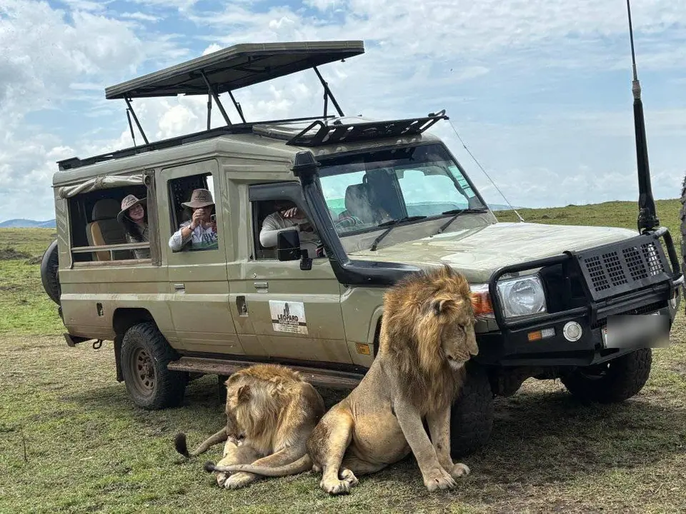 Nairobi and the road, dawn game drive, Ishasha → Bwindi, 8-Day Uganda Primates & Murchison Falls
