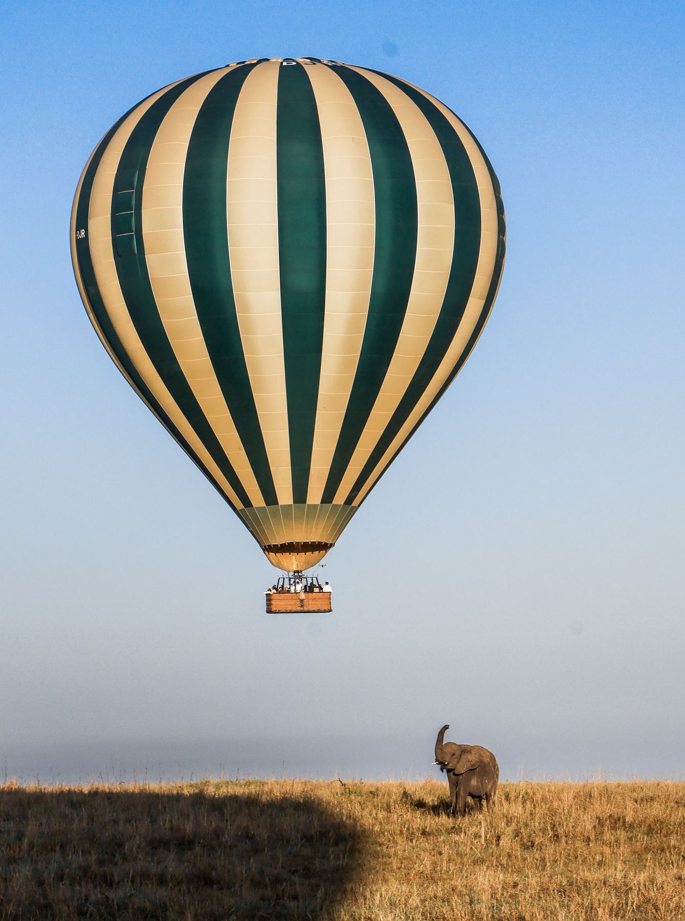 Maasai Mara balloon, sunrise balloon flight