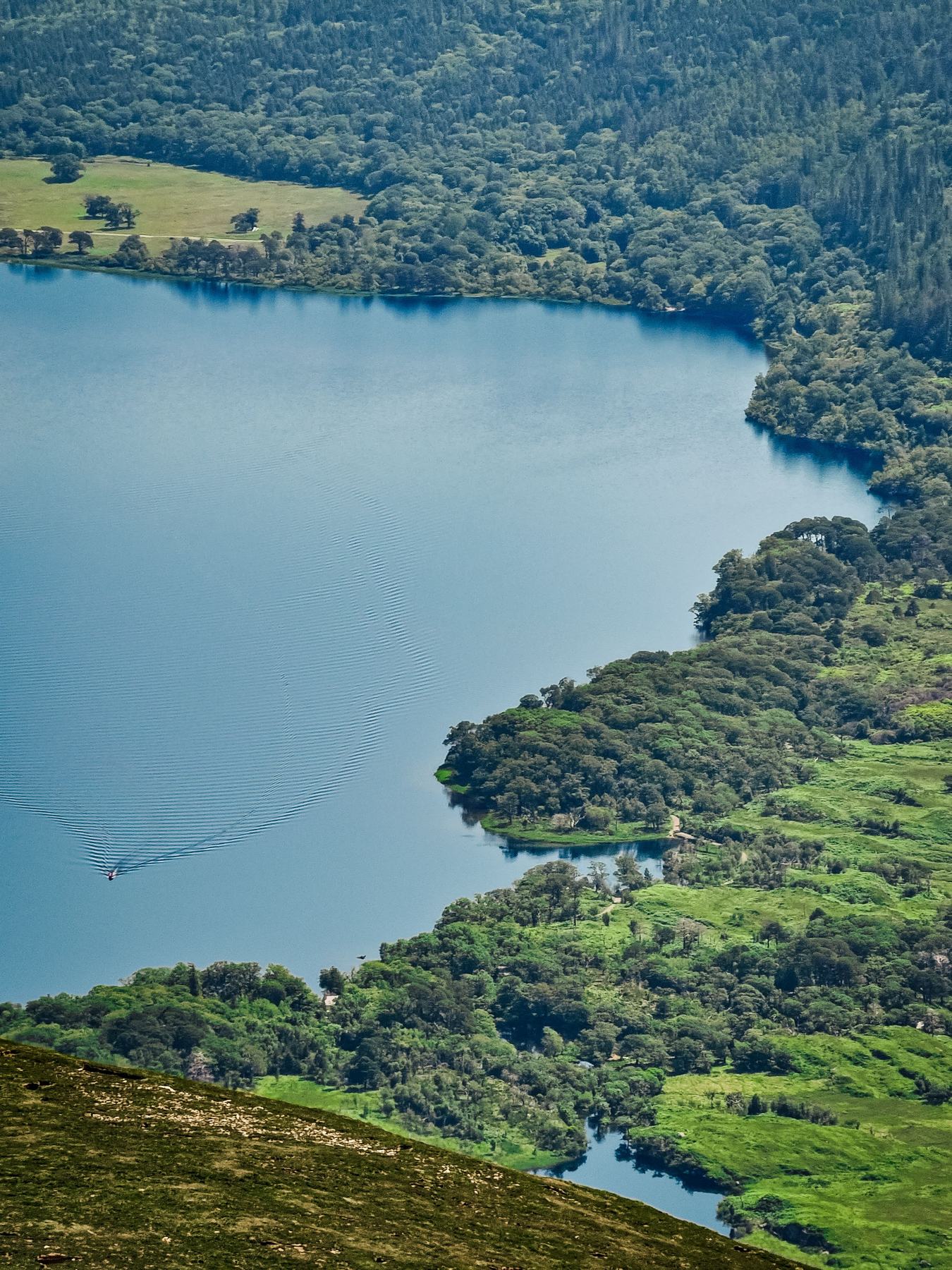 Lake Naivasha, dawn game drive