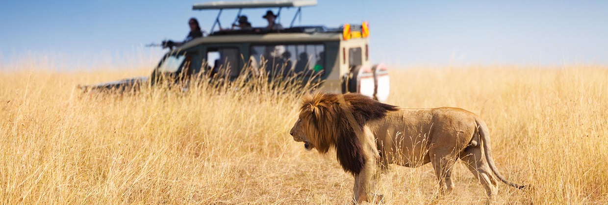 Leopard Orchid Safaris